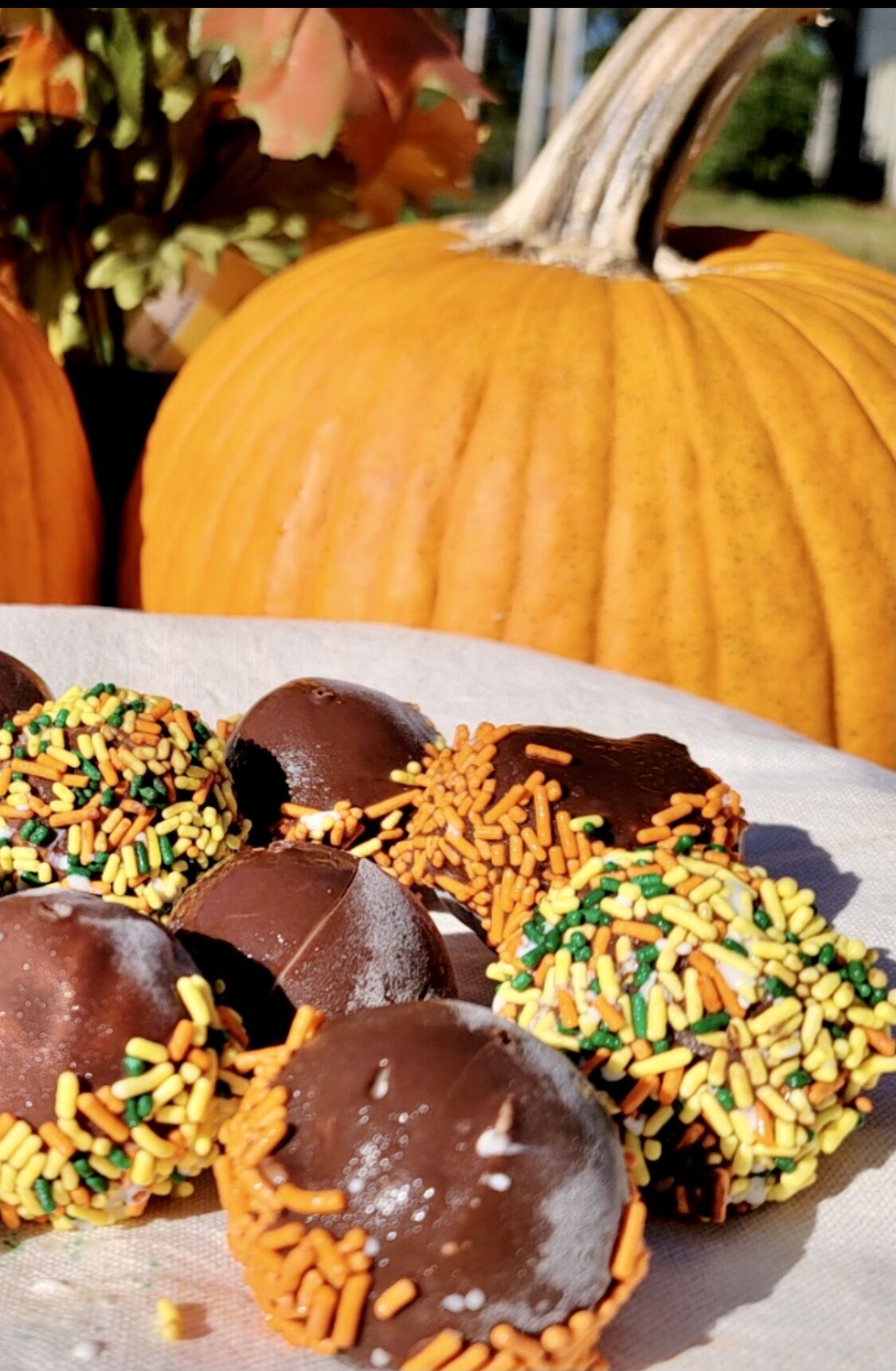 SerendipityThanksgivingBonBons.jpg